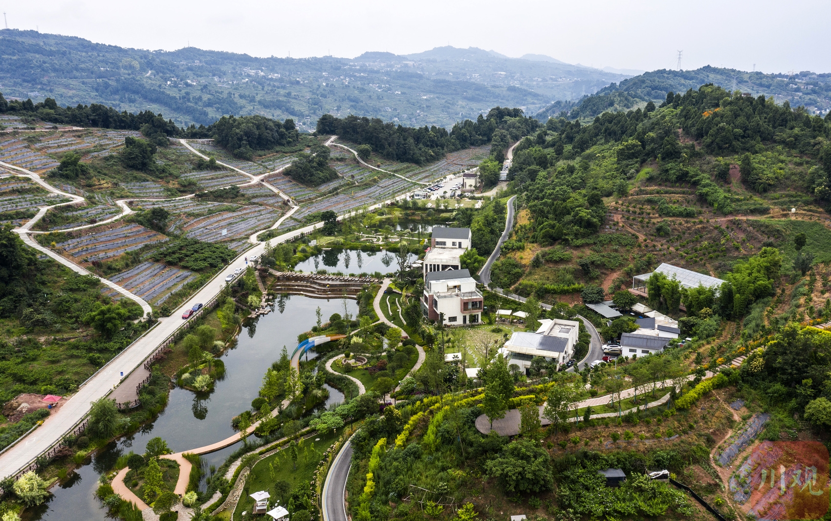成都龙泉新闻客户端的简单介绍-第2张图片-太平洋在线下载