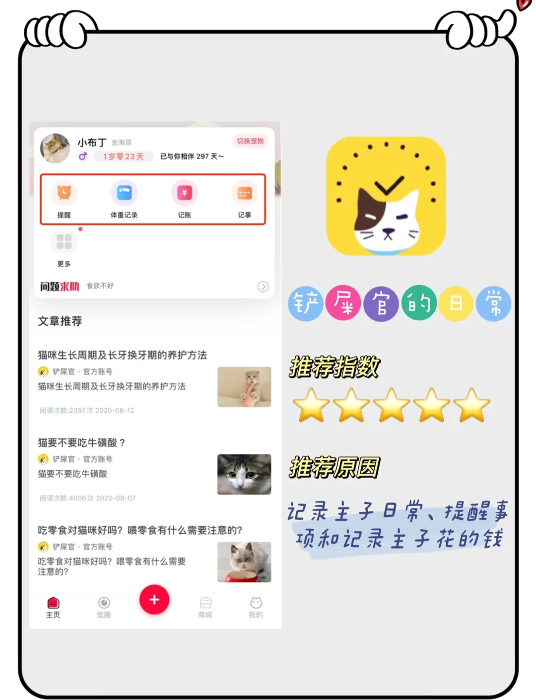 苹果版猫咪社交iphone灵动岛养宠物