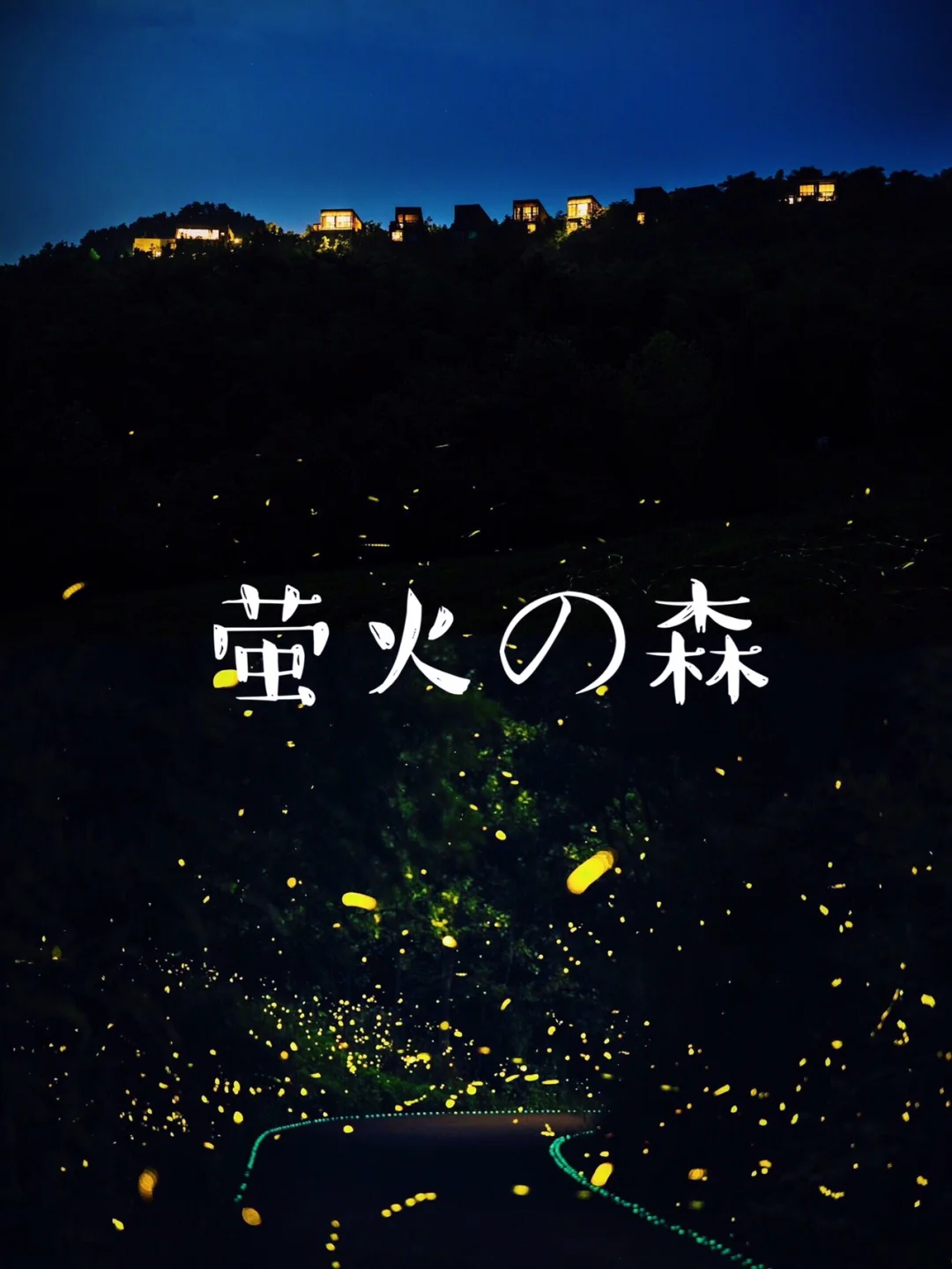 安卓版萤火生态telegeram安卓下载